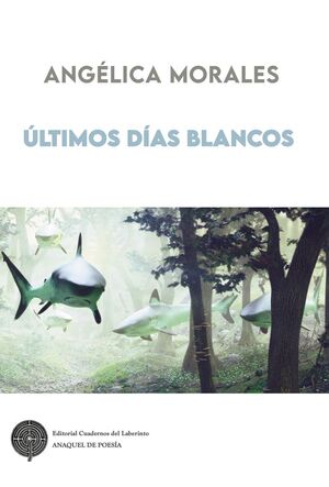 ULTIMOS DIAS BLANCOS