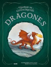 DRAGONES -TESOROS CONOCIMIENTO