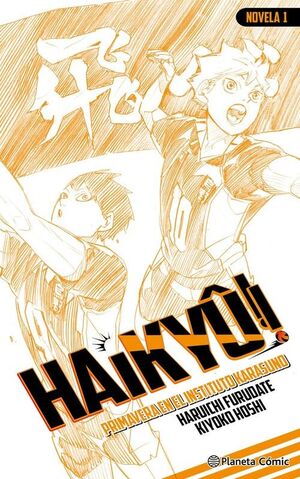 HAIKYU!! (NOVELA) 01