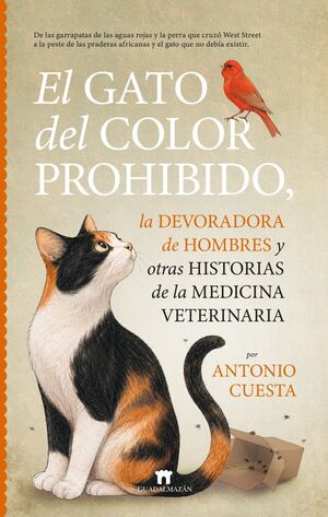 GATO DEL COLOR PROHIBIDO, LA DEVORADORA DE HOMBRES Y OTRAS HISTORIAS DE LA MEDIC