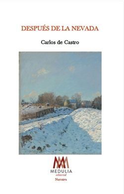 DESPUÉS DE LA NEVADA