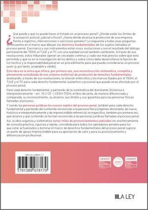 LA TUTELA DE LOS DERECHOS FUNDAMENTALES DE PERSONAS FÍSICAS Y JURÍDICAS EN EL PR