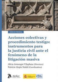 ACCIONES COLECTIVAS Y PROCEDIMIENTO TESTIGO INSTRUMENTOS PA