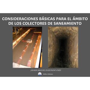 CONSIDERACIONES BASICAS ÁMBITO COLECTORES DE SANEA